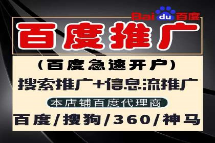 百度移动端应用推广策略探讨